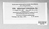 Image Associated With the Occurence